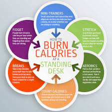 Debunking the Myth: Does Standing Really Help You Burn Calories?