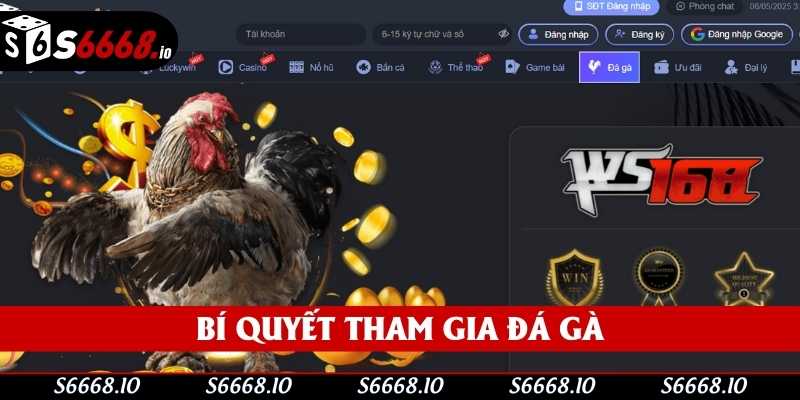 Bí quyết tham gia đá gà Bí quyết tham gia đá gà